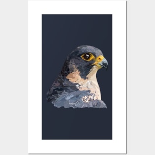 Peregrine falcon Posters and Art